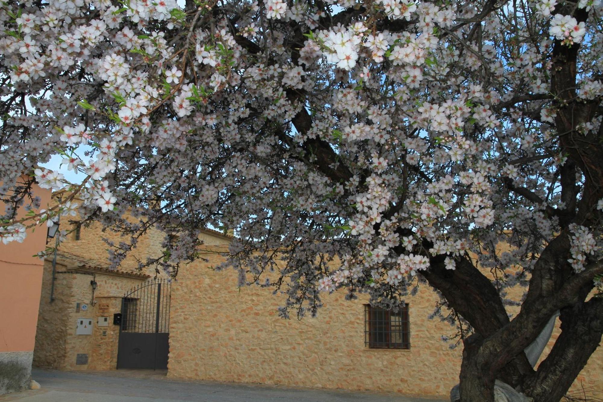 ألاما دي مرسية Alojamientos Rurales Cortijo Las Golondrinas المظهر الخارجي الصورة