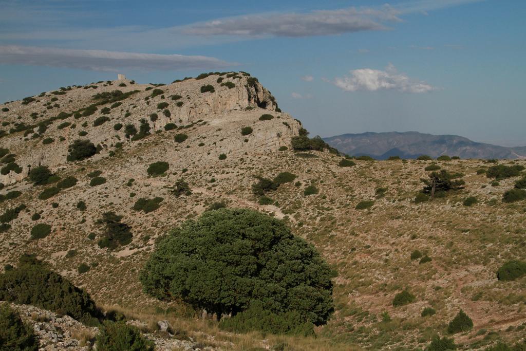 ألاما دي مرسية Alojamientos Rurales Cortijo Las Golondrinas المظهر الخارجي الصورة