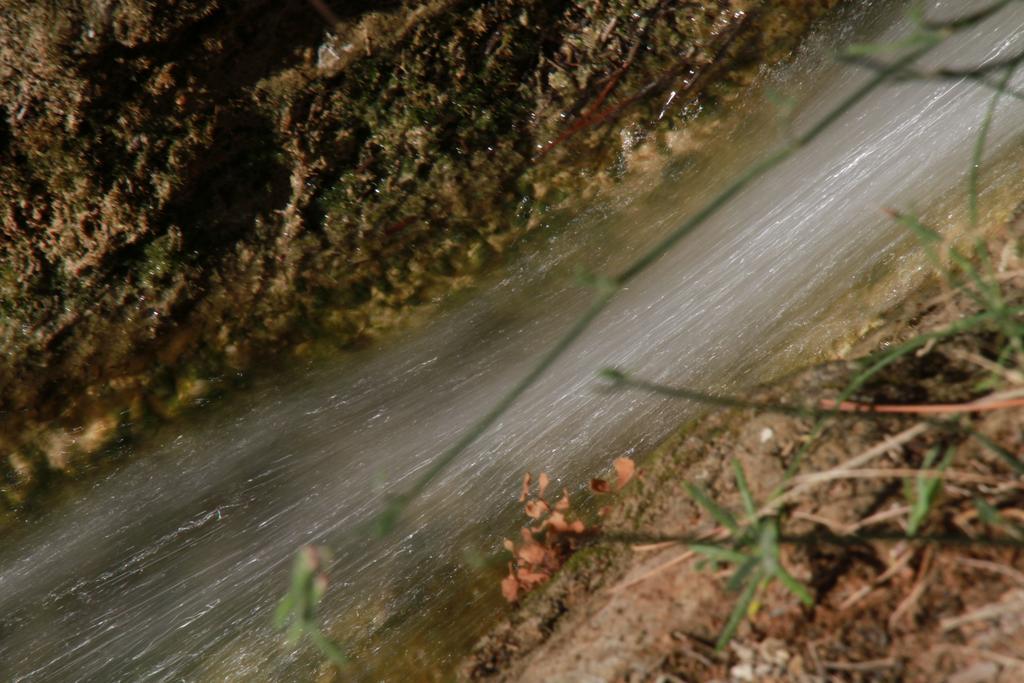 ألاما دي مرسية Alojamientos Rurales Cortijo Las Golondrinas المظهر الخارجي الصورة