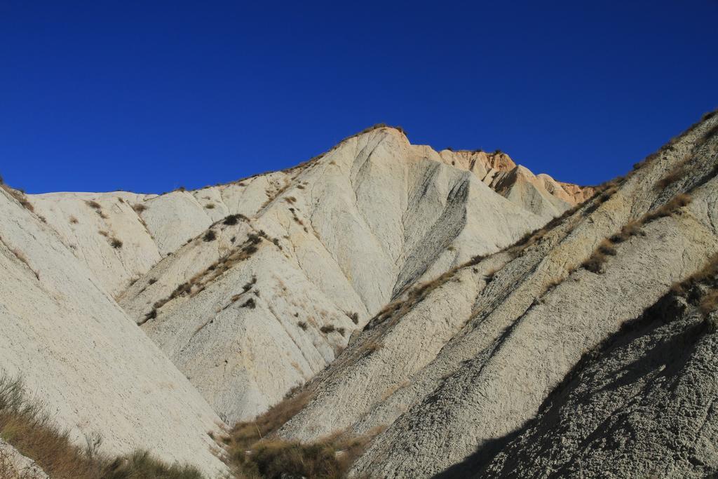 ألاما دي مرسية Alojamientos Rurales Cortijo Las Golondrinas المظهر الخارجي الصورة