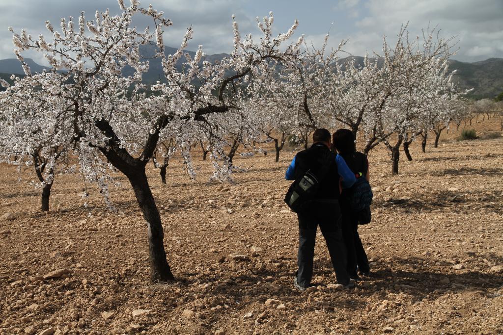 ألاما دي مرسية Alojamientos Rurales Cortijo Las Golondrinas المظهر الخارجي الصورة