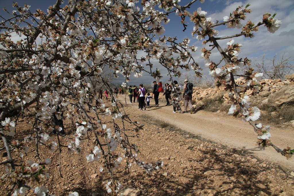 ألاما دي مرسية Alojamientos Rurales Cortijo Las Golondrinas المظهر الخارجي الصورة