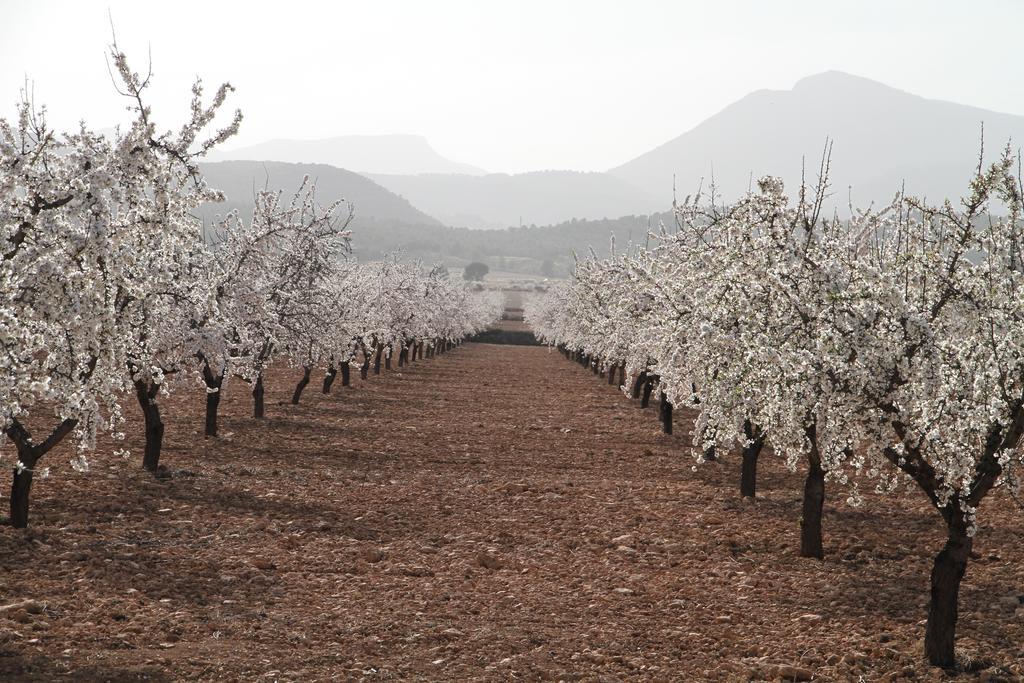 ألاما دي مرسية Alojamientos Rurales Cortijo Las Golondrinas المظهر الخارجي الصورة