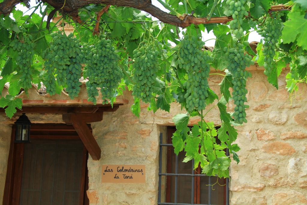 ألاما دي مرسية Alojamientos Rurales Cortijo Las Golondrinas المظهر الخارجي الصورة